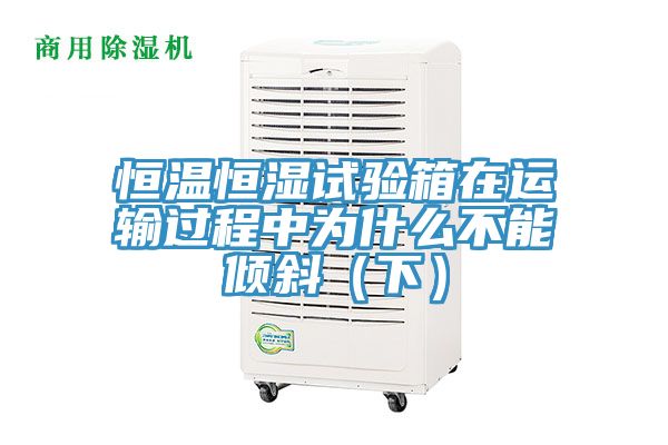 亚洲欧美一级特黄大片 恒温恒湿试验箱在运输过程中为什么不能倾斜（下）
