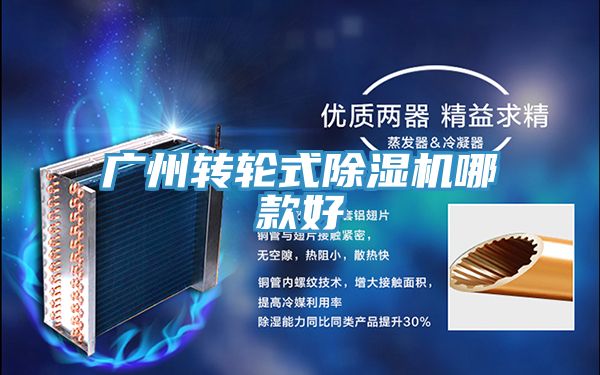 亚洲人成综合第一网站 广州转轮式除湿机哪款好
