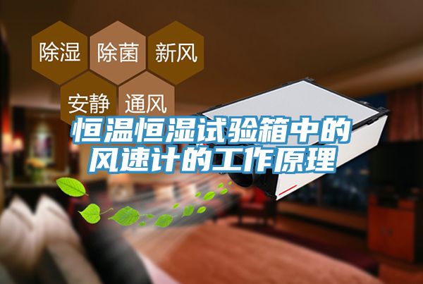 亚洲人成综合第一网站 恒温恒湿试验箱中的风速计的工作原理