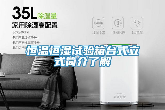 亚洲欧美一级特黄大片 恒温恒湿试验箱台式立式简介了解