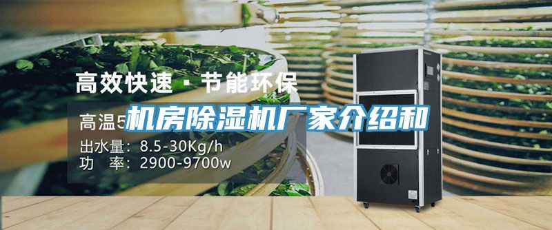 亚洲欧美一级特黄大片 机房除湿机厂家介绍和