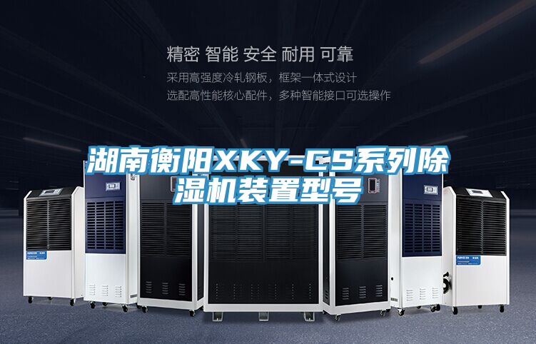 亚洲人成综合第一网站 湖南衡阳XKY-CS系列除湿机装置型号