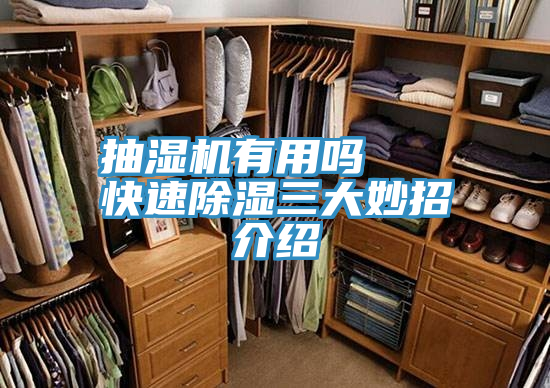 亚洲人成综合第一网站 抽湿机有用吗   快速除湿三大妙招介绍