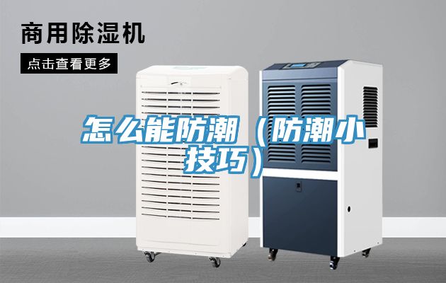 亚洲乱码一区二区三区 怎么能防潮（防潮小技巧）
