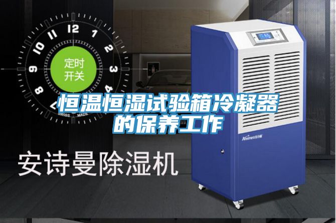 亚洲欧美一级特黄大片 恒温恒湿试验箱冷凝器的保养工作