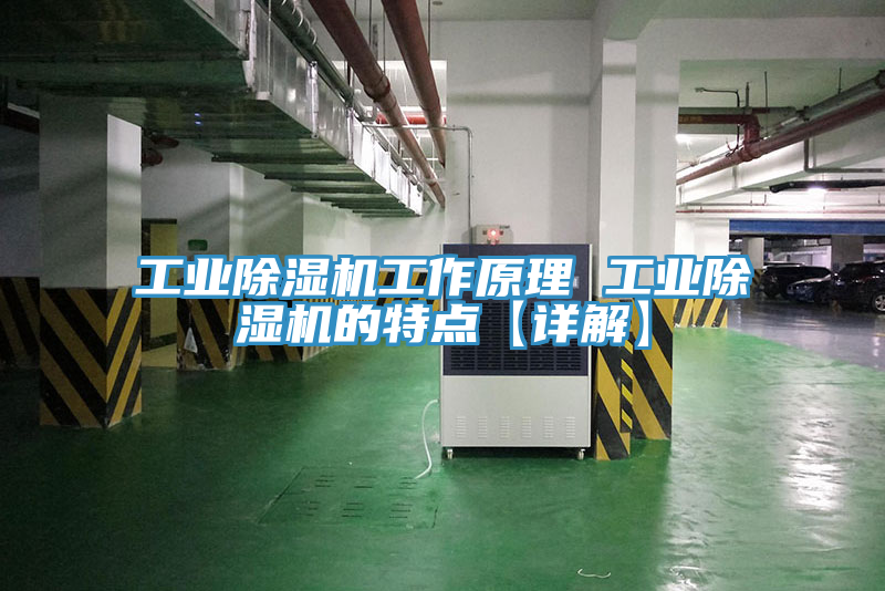 亚洲乱码一区二区三区 工业除湿机工作原理 工业除湿机的特点【详解】