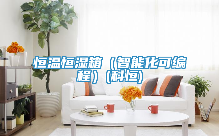 亚洲人成综合第一网站 恒温恒湿箱（智能化可编程）(科恒)