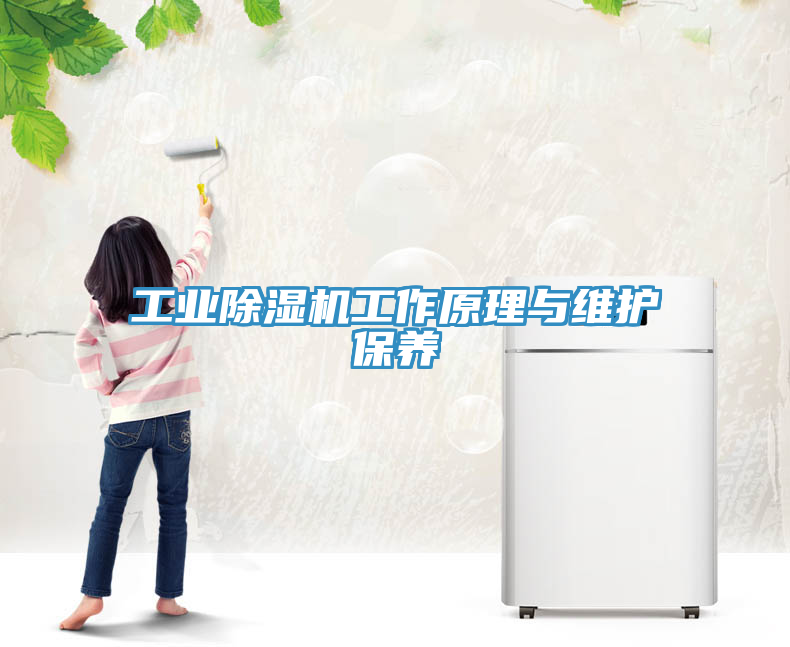 亚洲人成综合第一网站 工业除湿机工作原理与维护保养