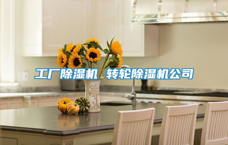 亚洲欧美一级特黄大片 工厂除湿机 转轮除湿机公司