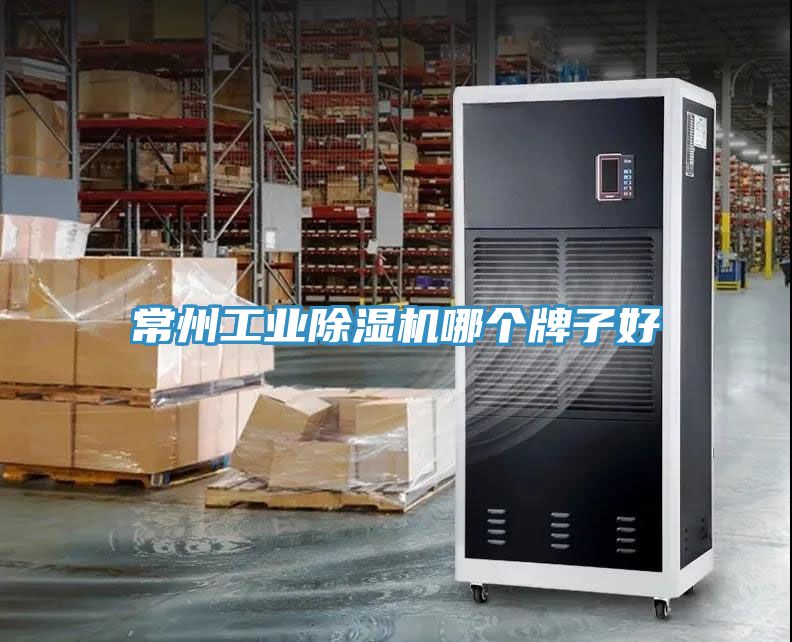 亚洲欧美一级特黄大片 常州工业除湿机哪个牌子好