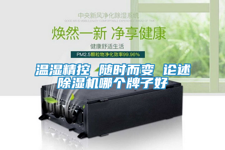 亚洲人成综合第一网站 温湿精控 随时而变 论述除湿机哪个牌子好