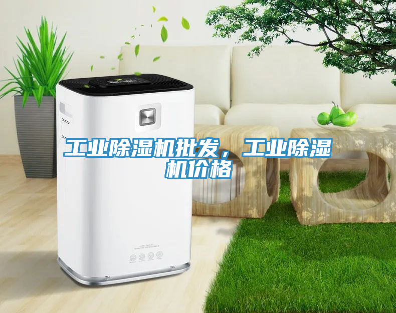 亚洲乱码一区二区三区 工业除湿机批发，工业除湿机价格