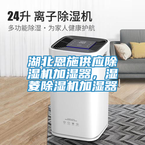 亚洲人成综合第一网站 湖北恩施供应除湿机加湿器，湿菱除湿机加湿器