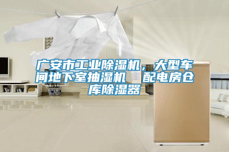 亚洲人成综合第一网站 广安市工业除湿机，大型车间地下室抽湿机  配电房仓库除湿器