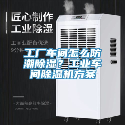 亚洲欧美一级特黄大片 工厂车间怎么防潮除湿？工业车间除湿机方案