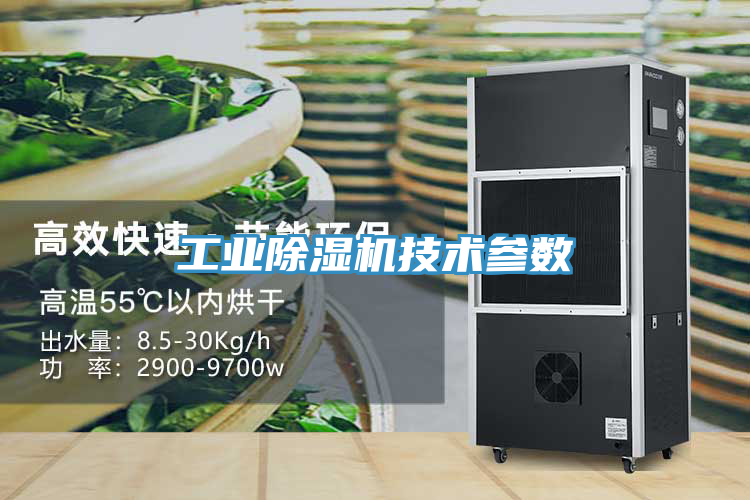 亚洲人成综合第一网站 工业除湿机技术参数