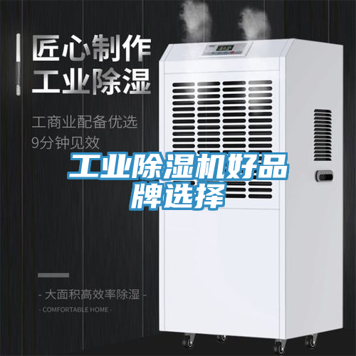 亚洲人成综合第一网站 工业除湿机好品牌选择