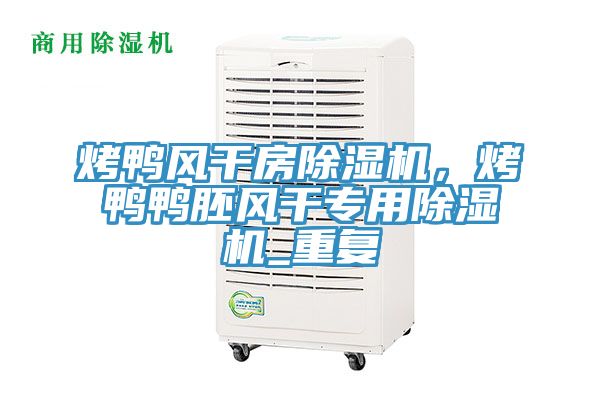 亚洲人成综合第一网站 烤鸭风干房除湿机，烤鸭鸭胚风干专用除湿机_重复