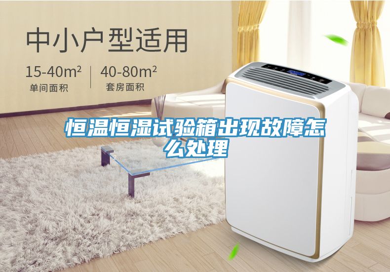 亚洲欧美一级特黄大片 恒温恒湿试验箱出现故障怎么处理