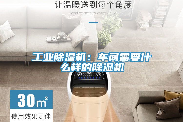 亚洲乱码一区二区三区 工业除湿机：车间需要什么样的除湿机