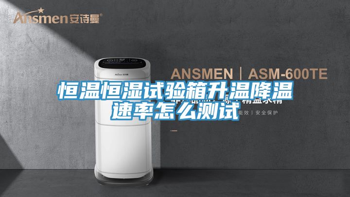 亚洲人成综合第一网站 恒温恒湿试验箱升温降温速率怎么测试