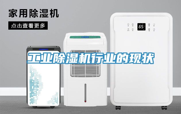 亚洲乱码一区二区三区 工业除湿机行业的现状