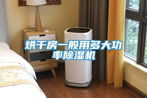 亚洲人成综合第一网站 烘干房一般用多大功率除湿机