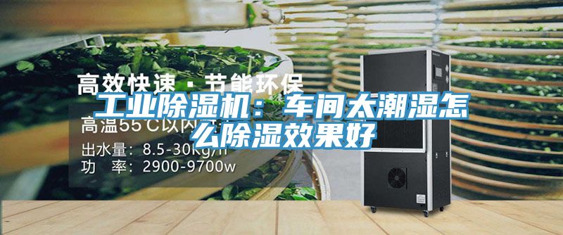 亚洲欧美一级特黄大片 工业除湿机：车间太潮湿怎么除湿效果好
