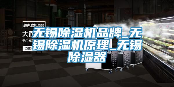 亚洲欧美一级特黄大片 无锡除湿机品牌_无锡除湿机原理_无锡除湿器