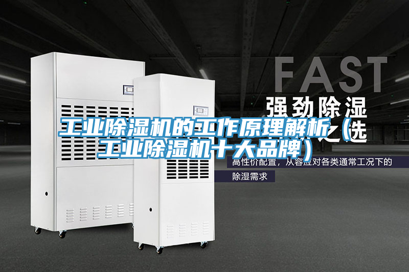 亚洲欧美一级特黄大片 工业除湿机的工作原理解析（工业除湿机十大品牌）