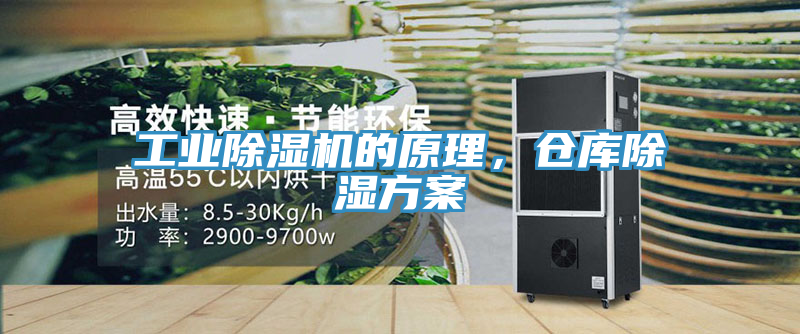 亚洲人成综合第一网站 工业除湿机的原理，仓库除湿方案
