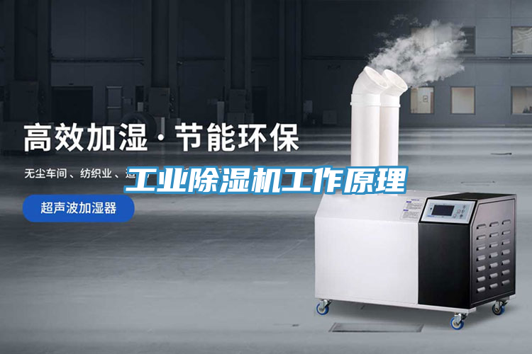 亚洲欧美一级特黄大片 工业除湿机工作原理