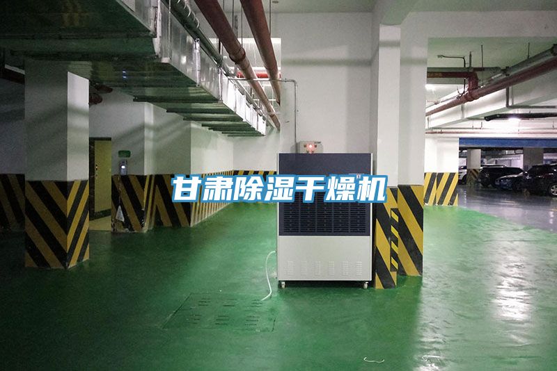 亚洲乱码一区二区三区 甘肃除湿干燥机