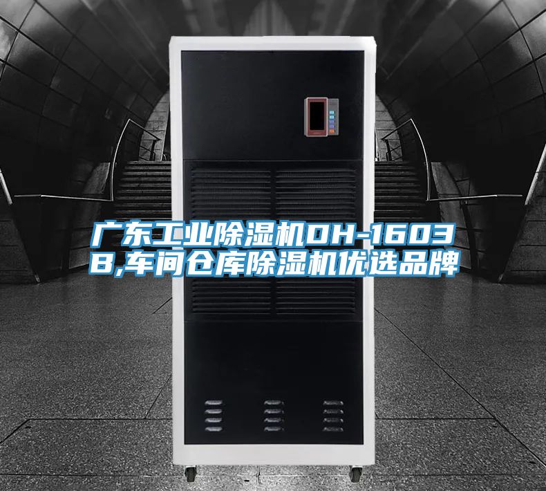 亚洲欧美一级特黄大片 广东工业除湿机DH-1603B,车间仓库除湿机优选品牌