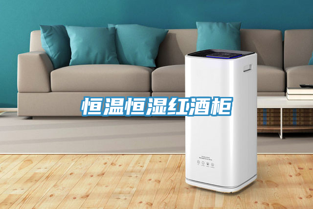 亚洲人成综合第一网站 恒温恒湿红酒柜