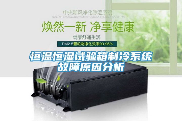 亚洲乱码一区二区三区 恒温恒湿试验箱制冷系统故障原因分析