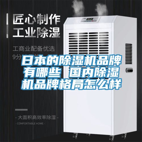 亚洲欧美一级特黄大片 日本的除湿机品牌有哪些 国内除湿机品牌格局怎么样