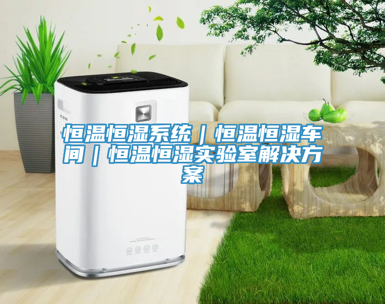 亚洲人成综合第一网站 恒温恒湿系统｜恒温恒湿车间｜恒温恒湿实验室解决方案
