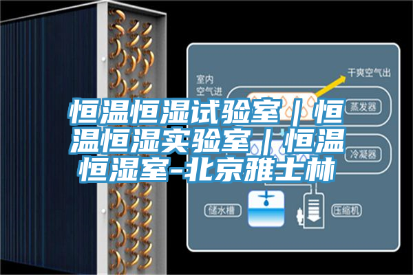 亚洲人成综合第一网站 恒温恒湿试验室｜恒温恒湿实验室｜恒温恒湿室-北京雅士林