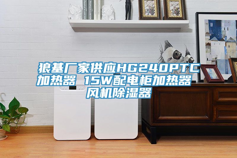 狼基厂家供应HG240PTC加热器 15W配电柜加热器 风机除湿器