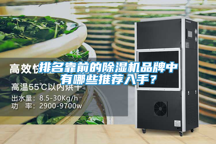 亚洲欧美一级特黄大片 排名靠前的除湿机品牌中有哪些推荐入手？