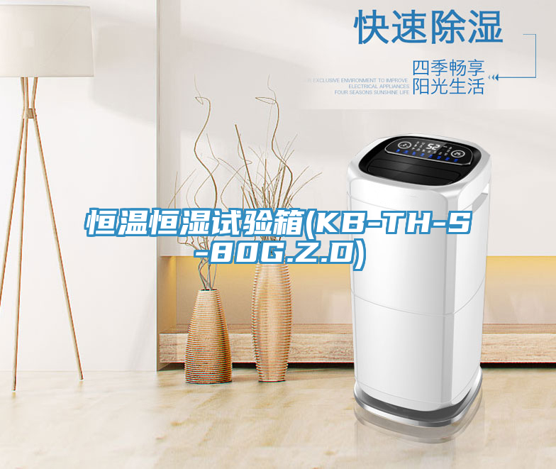 亚洲乱码一区二区三区 恒温恒湿试验箱(KB-TH-S-80G.Z.D)
