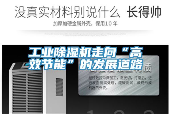 亚洲欧美一级特黄大片 工业除湿机走向“高效节能”的发展道路