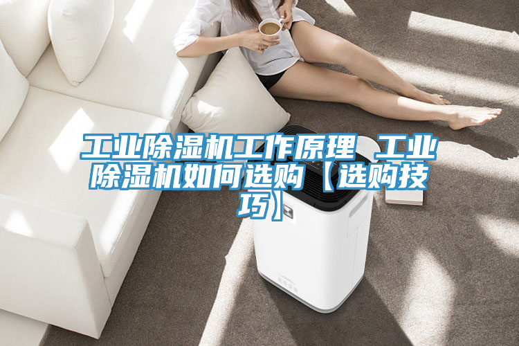 亚洲人成综合第一网站 工业除湿机工作原理 工业除湿机如何选购【选购技巧】