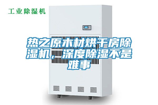 亚洲欧美一级特黄大片 热之原木材烘干房除湿机，深度除湿不是难事