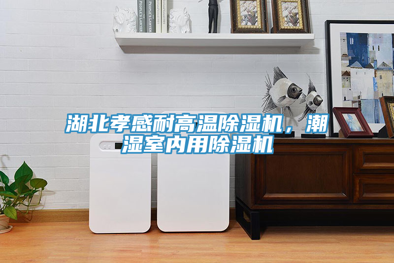 亚洲乱码一区二区三区 湖北孝感耐高温除湿机，潮湿室内用除湿机