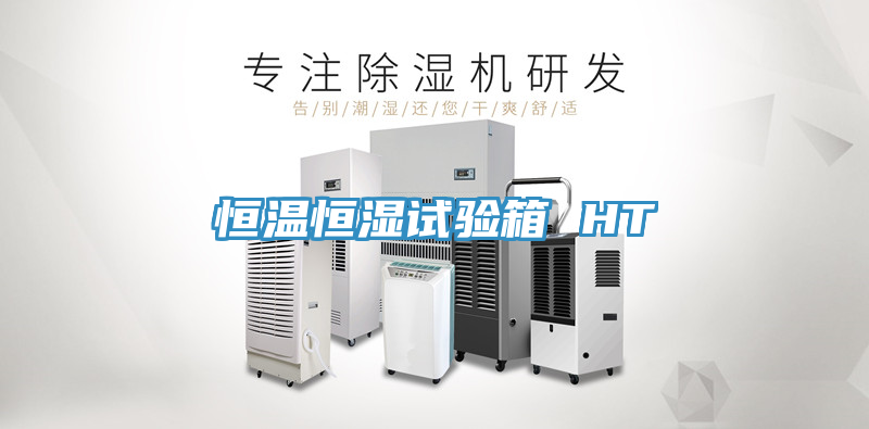 亚洲人成综合第一网站 恒温恒湿试验箱 HT