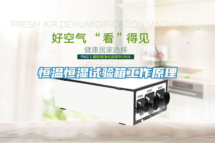 亚洲欧美一级特黄大片 恒温恒湿试验箱工作原理