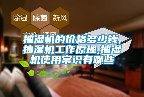 亚洲欧美一级特黄大片 抽湿机的价格多少钱,抽湿机工作原理,抽湿机使用常识有哪些