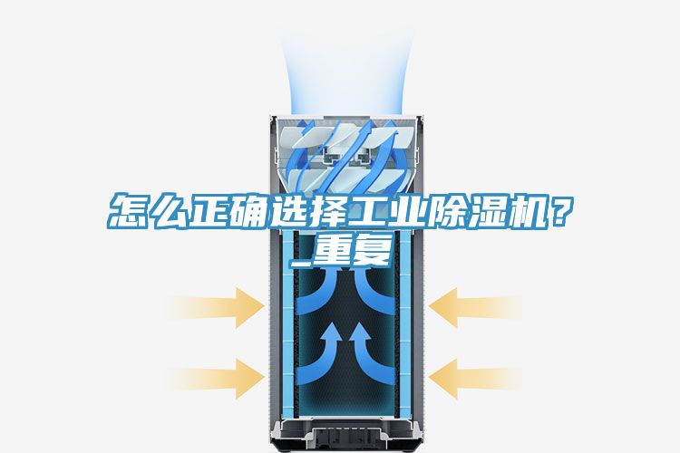 亚洲人成综合第一网站 怎么正确选择工业除湿机？_重复